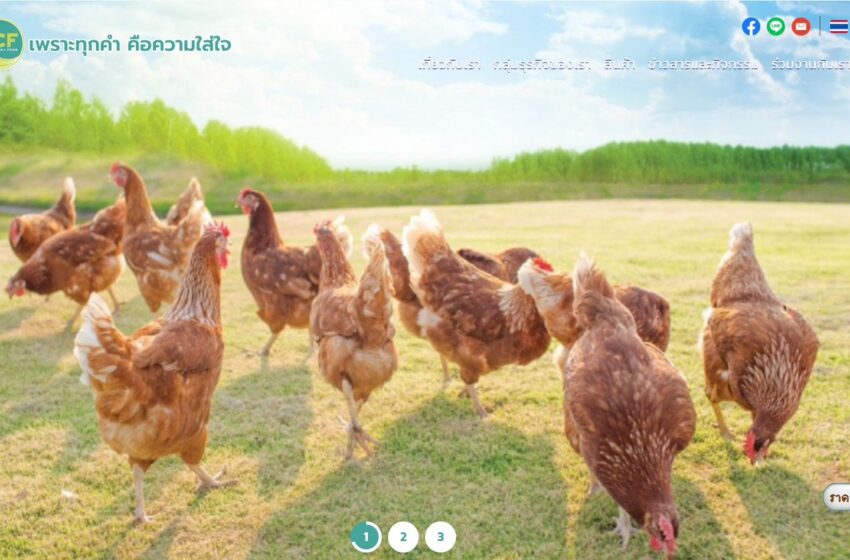  เกษมชัยฟู้ด เตรียมความพร้อมเพิ่มกำลังการผลิตไข่ไก่ปลอดกรง 3 เท่า ตั้งเป้าผลิต 100 ล้านฟองกลางปี 2569 รองรับความต้องการตลาด